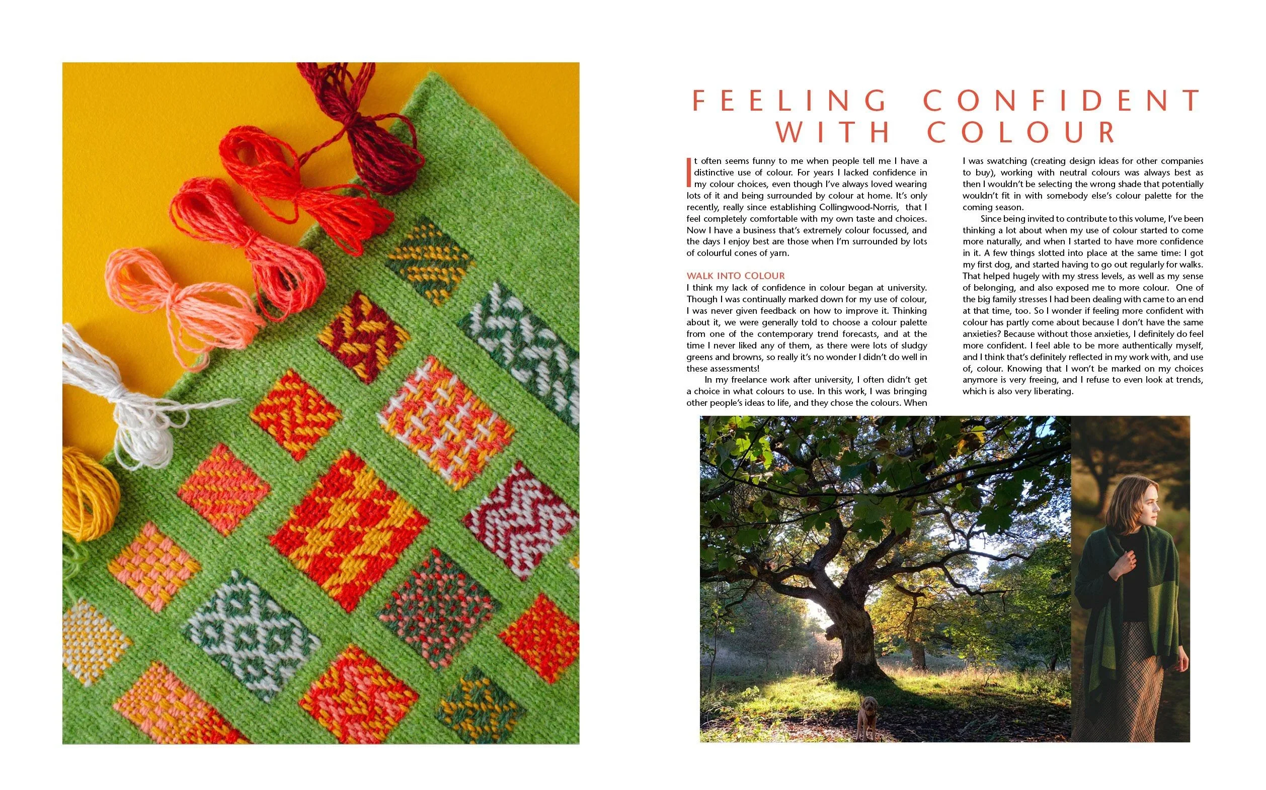 Colour at Work - Kate Davies & Felicity Ford - Image 12